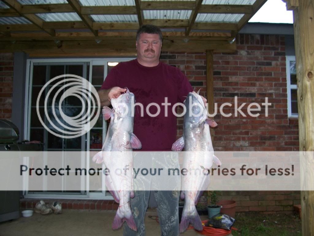 noodles or trotlines Arkansas Hunting