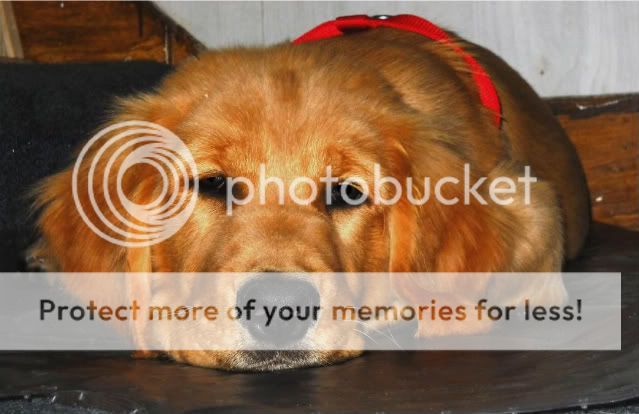 maxretouch.jpg